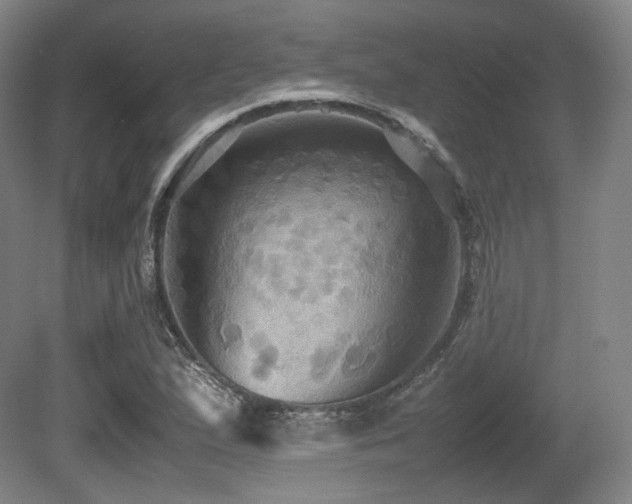X0000080661167200612151123