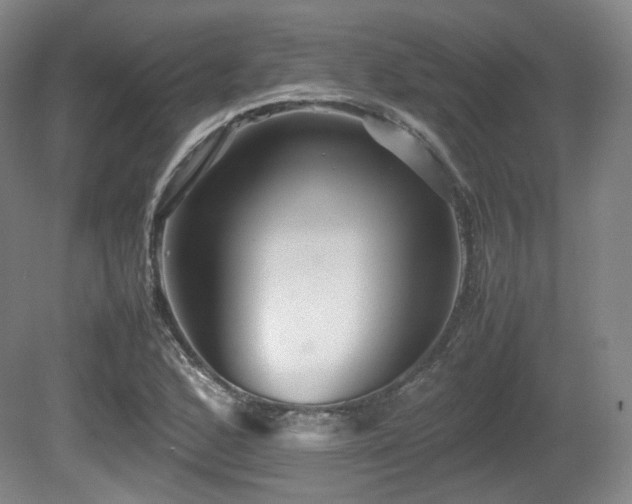 X0000080661168200612151123