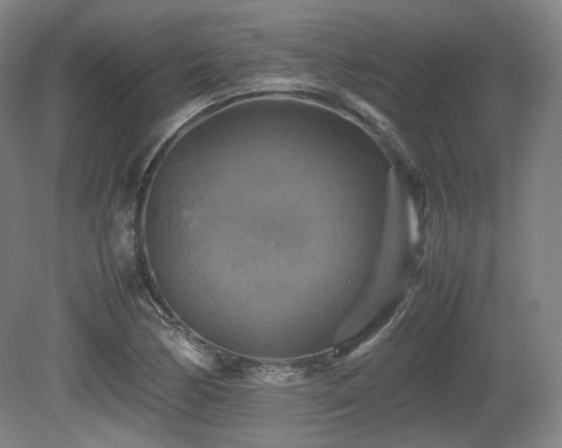 X0000080661170200612151123