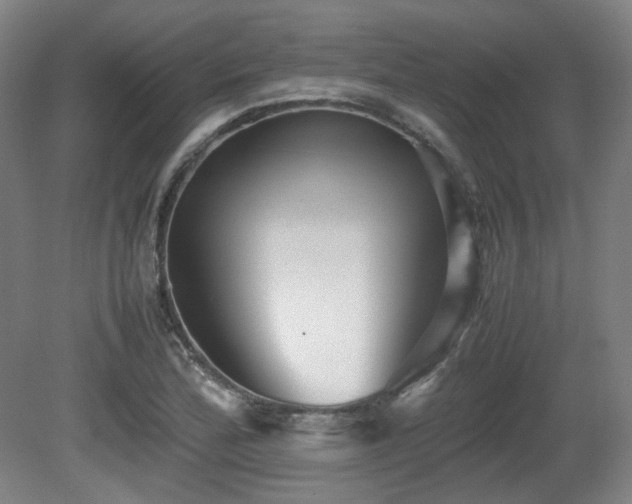 X0000080661172200612151123