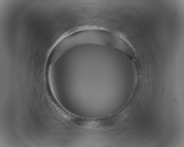 X0000080661173200612151123
