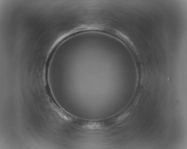 X0000080661174200612151123