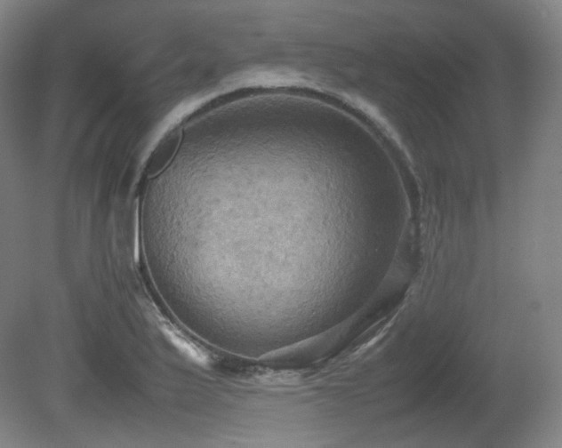 X0000080661175200612151123