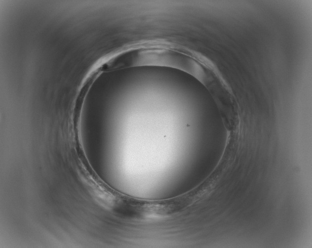 X0000080661176200612151123