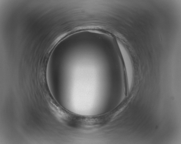 X0000080661177200612151123