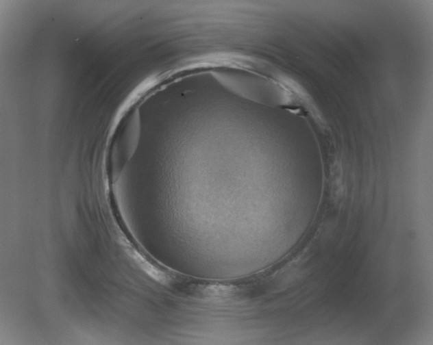 X0000080661180200612151123