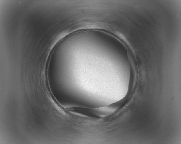 X0000080661181200612151123