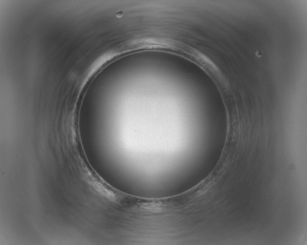 X0000080661182200612151123
