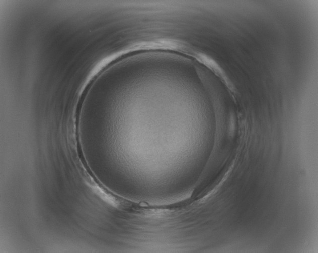 X0000080661184200612151123
