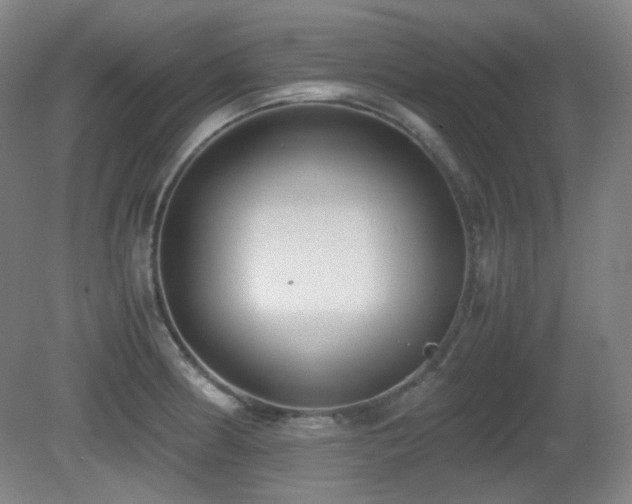 X0000080661186200612151123