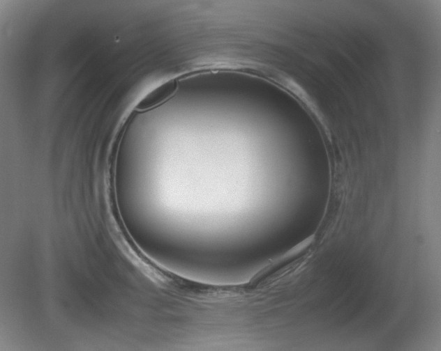 X0000080661187200612151123
