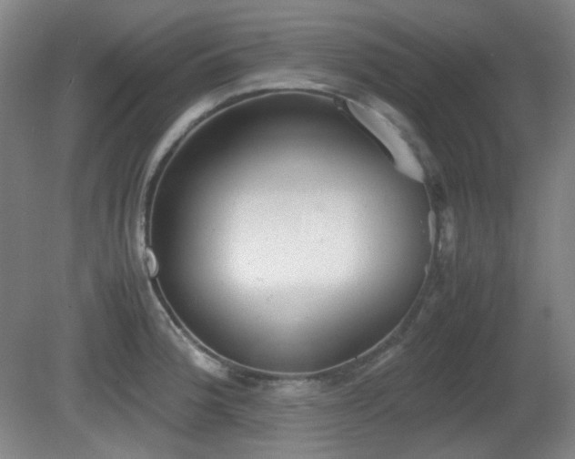 X0000080661188200612151123