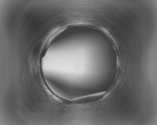 X0000080661189200612151123