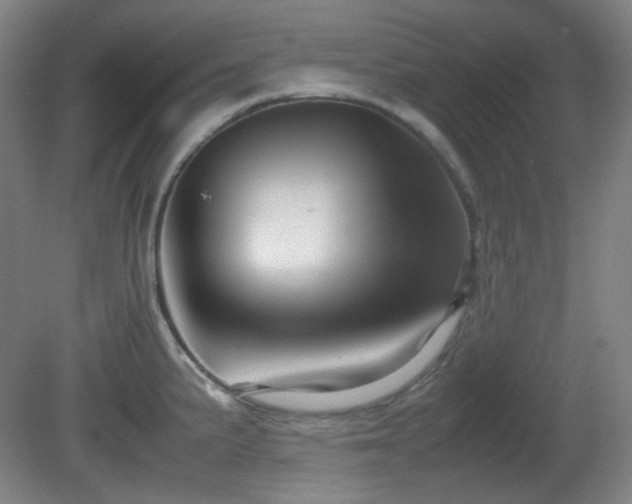 X0000080661191200612151123