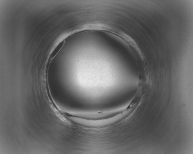 X0000080661192200612151123