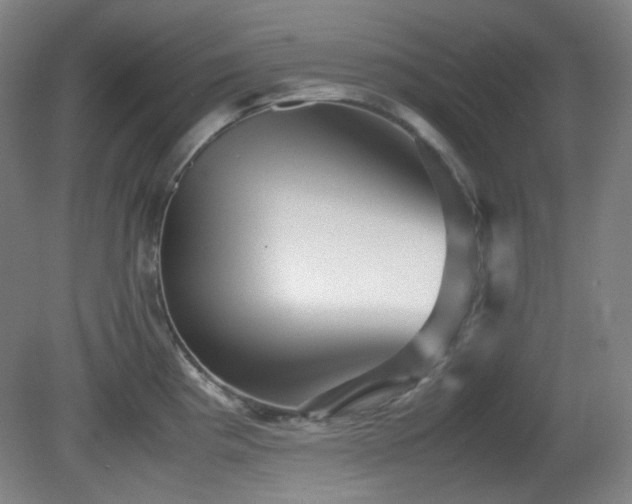 X0000080661193200612151123