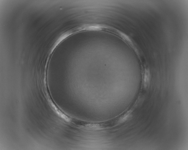 X0000080661194200612151123