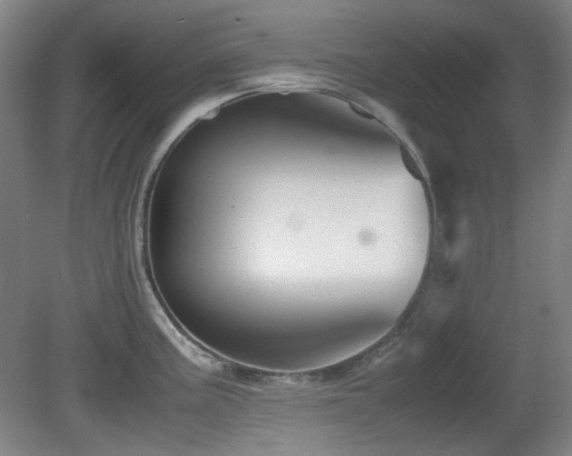 X0000080661195200612151123