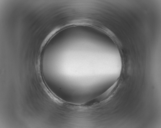 X0000080661196200612151123