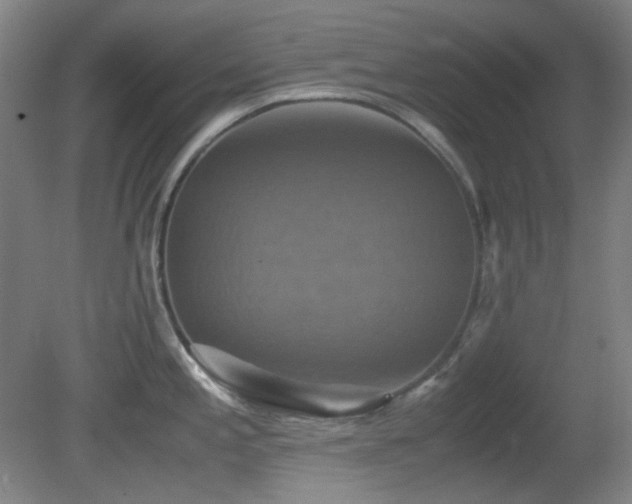X0000080661197200612151123