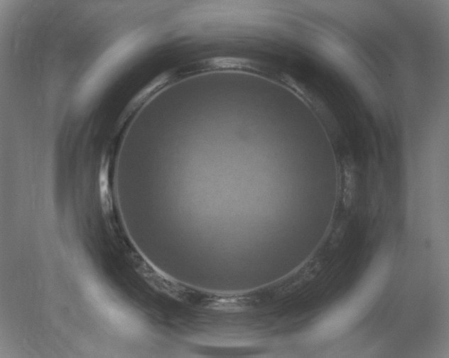 X0000080661198200612151123