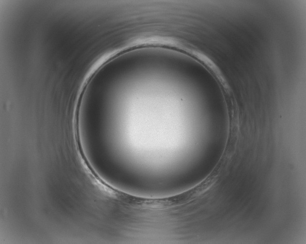 X0000080661199200612151123