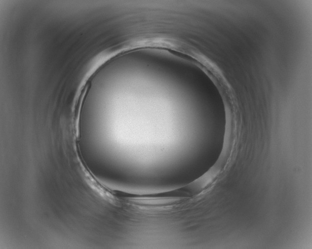 X0000080661200200612151123