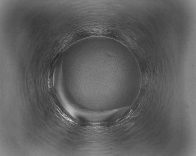 X0000080661202200612151122
