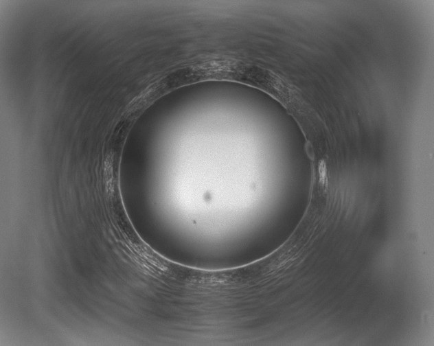 X0000080661203200612151122