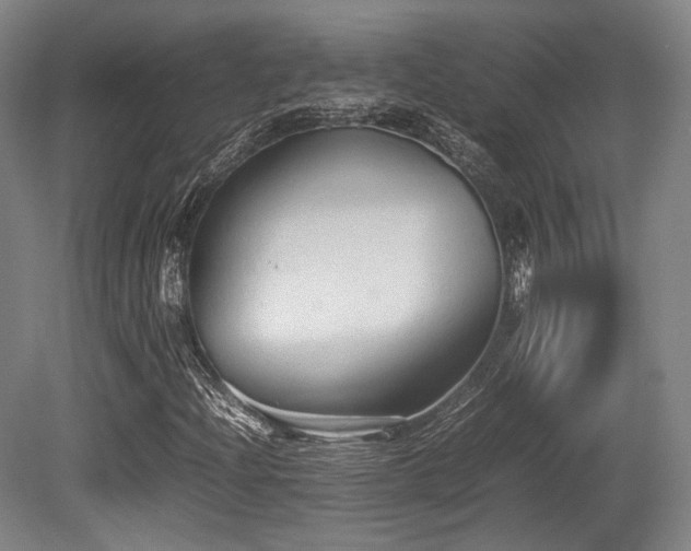X0000080661204200612151122