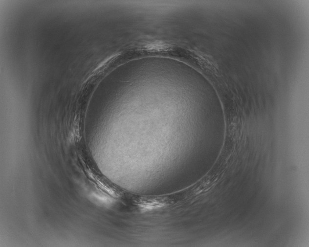 X0000080661205200612151122