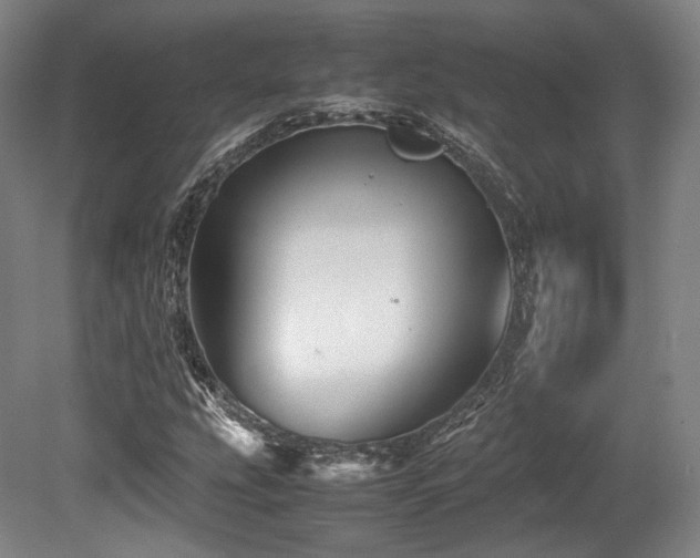 X0000080661207200612151122