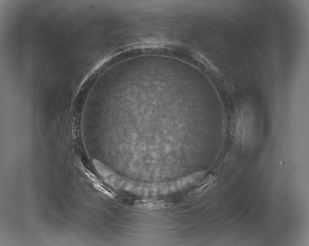X0000080661208200612151122