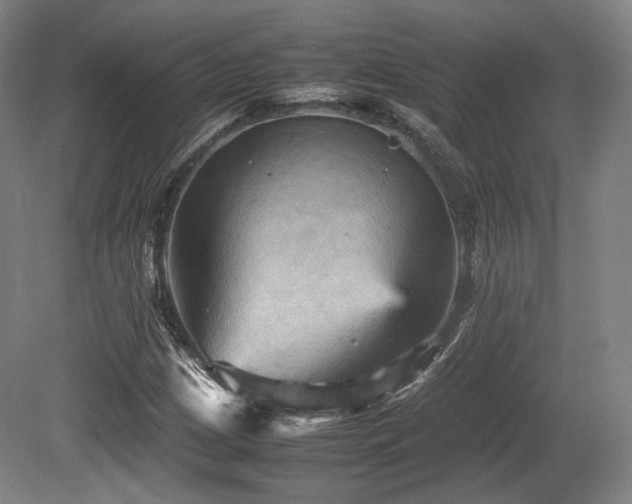 X0000080661209200612151122