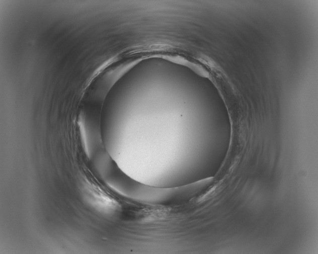 X0000080661210200612151122