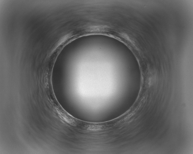 X0000080661211200612151122