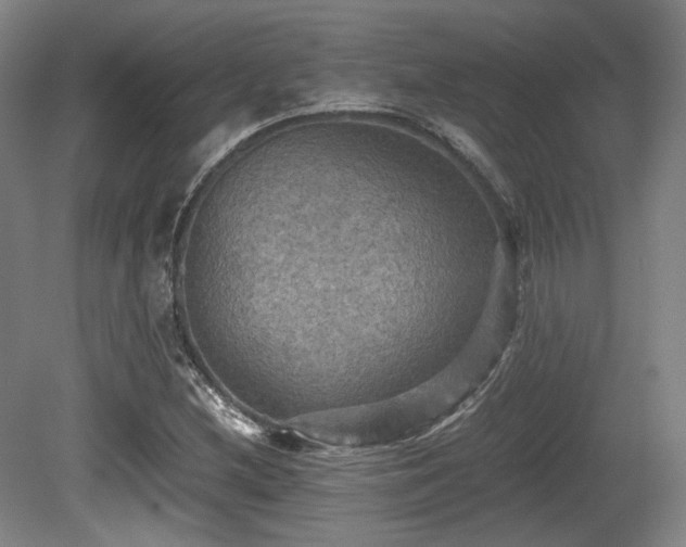 X0000080661212200612151122