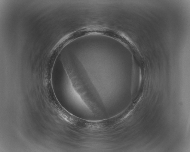 X0000080661213200612151122