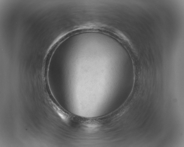 X0000080661216200612151122