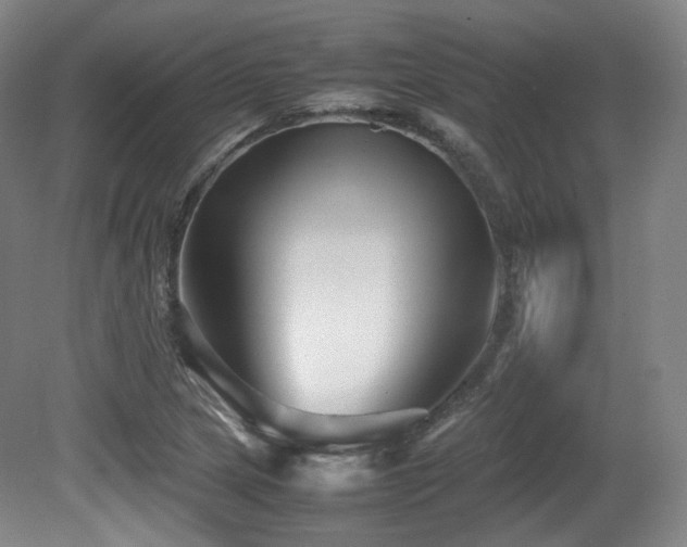 X0000080661217200612151122