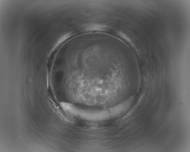 X0000080661219200612151122