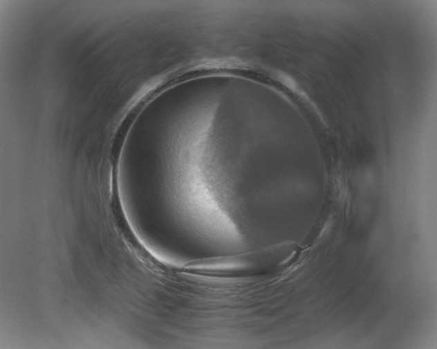 X0000080661221200612151122