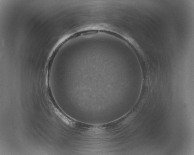 X0000080661224200612151122