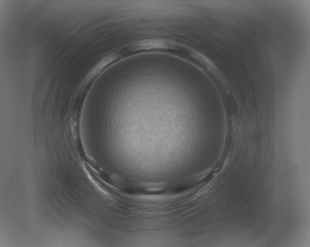 X0000080661225200612151122