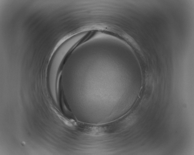 X0000080661226200612151122