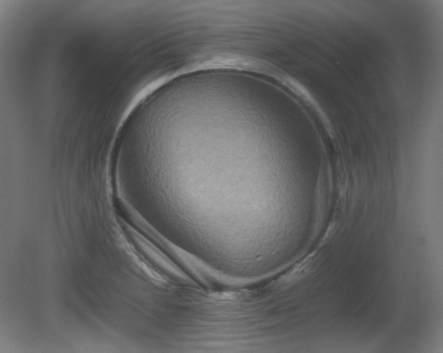 X0000080661230200612151123