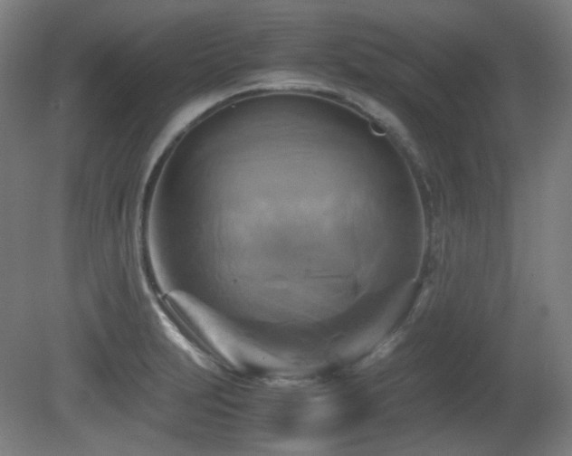 X0000080661231200612151123