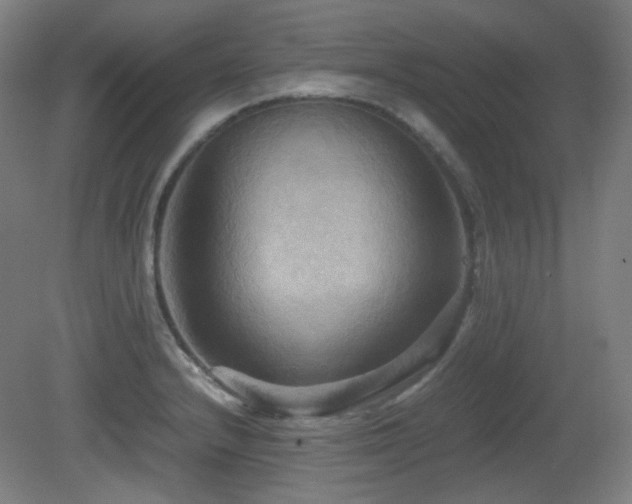 X0000080661232200612151123