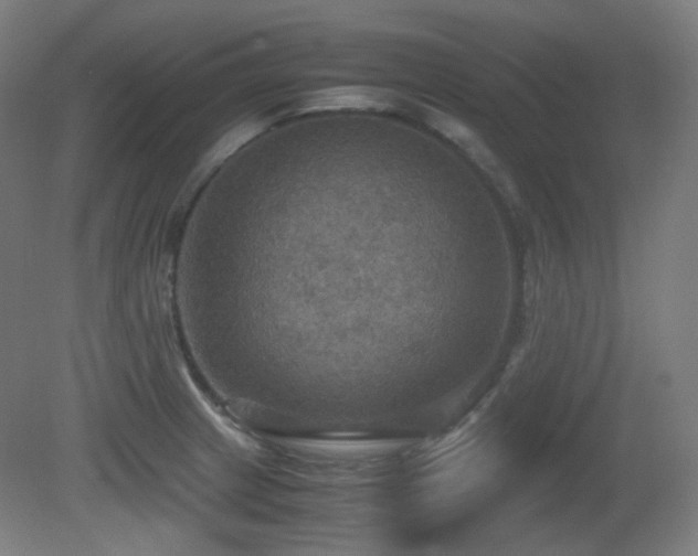 X0000080661233200612151123