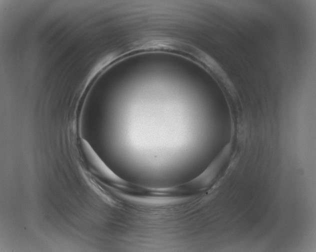 X0000080661234200612151123
